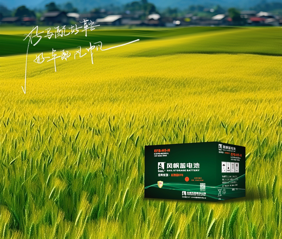 【喜報】中船風(fēng)帆蟬聯(lián)2024年度河北省輕工業(yè)排頭兵、50強企業(yè)